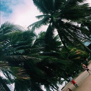 Meet your Posher, Izzy